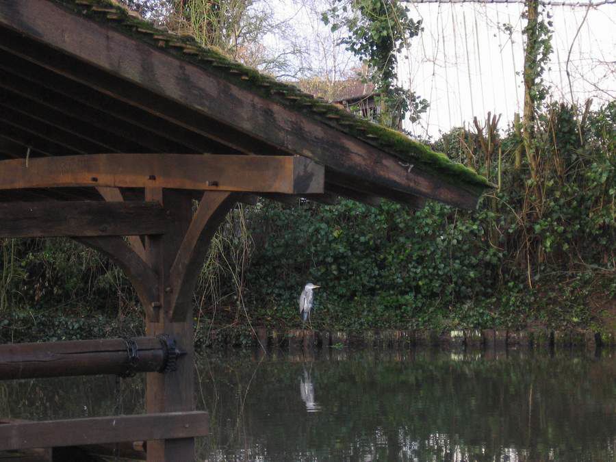 lavoir2.jpg